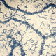 Image for article titled 10 of the Year's Most Beautiful Science Images